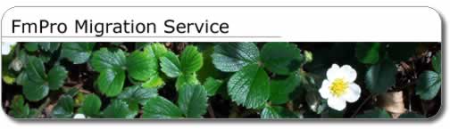 services - FmPro Migration Service - title image
