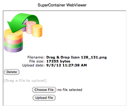 SuperContainer WebViewer