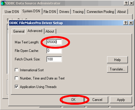 Figure 6 - FileMaker ODBC DSN Advanced Parameters